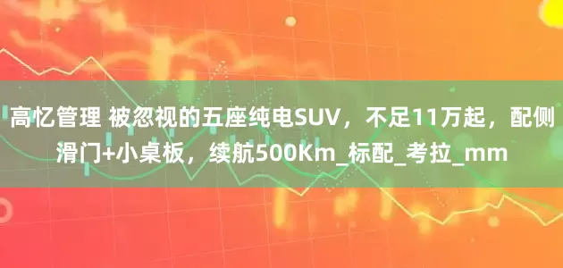 高忆管理 被忽视的五座纯电SUV，不足11万起，配侧滑门+小桌板，续航500Km_标配_考拉_mm