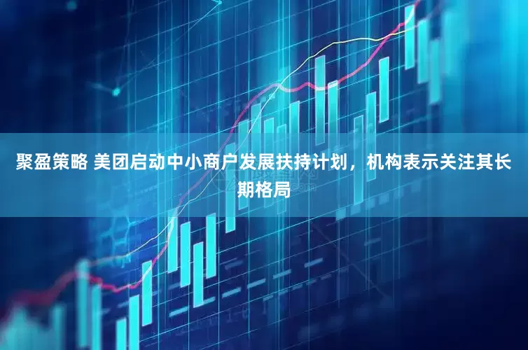 聚盈策略 美团启动中小商户发展扶持计划，机构表示关注其长期格局